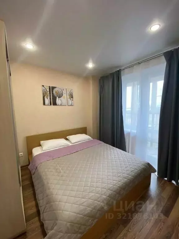 1-к кв. Псковская область, Псковский район, Завеличенская волость, д. ... - Фото 2