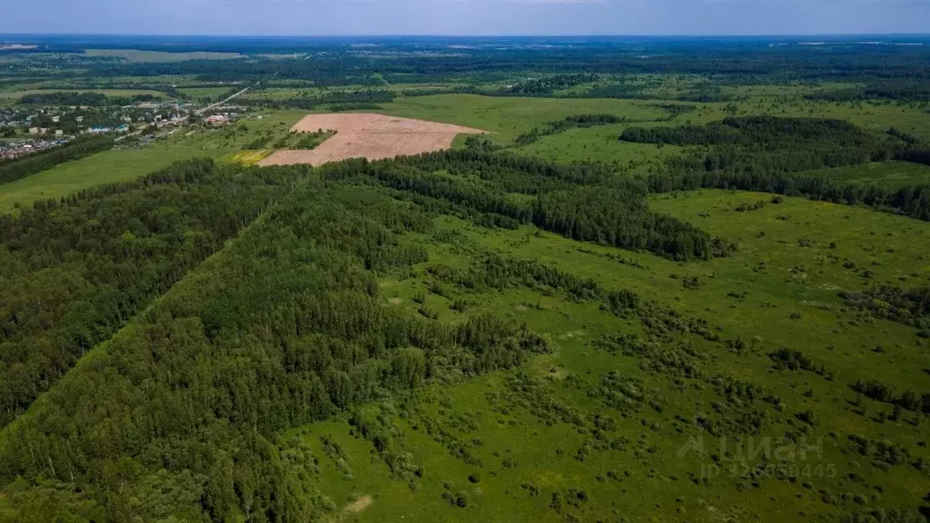 Участок в Московская область, Можайский муниципальный округ, д. ... - Фото 0