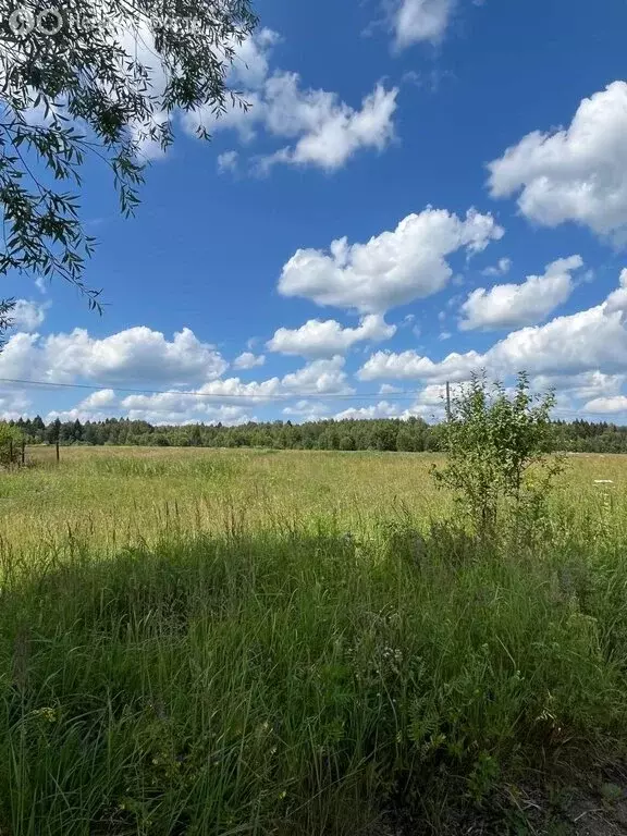 Участок в Московская область, городской округ Пушкинский, деревня ... - Фото 2