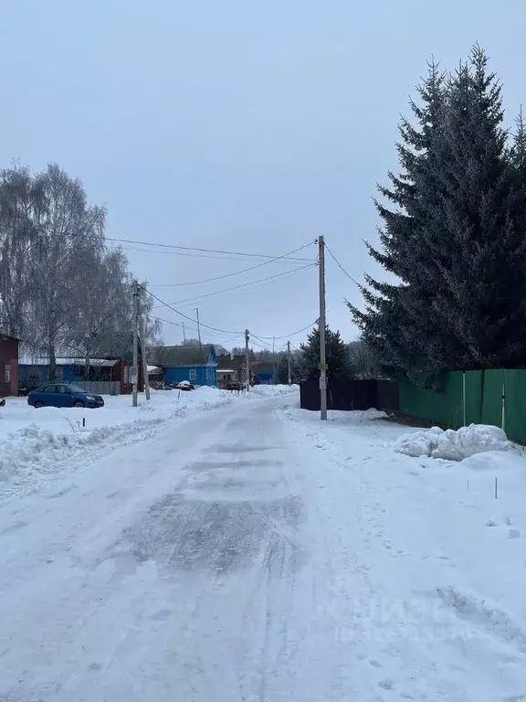 Участок в Татарстан, Пестречинский район, Богородское с/пос, с. ... - Фото 1