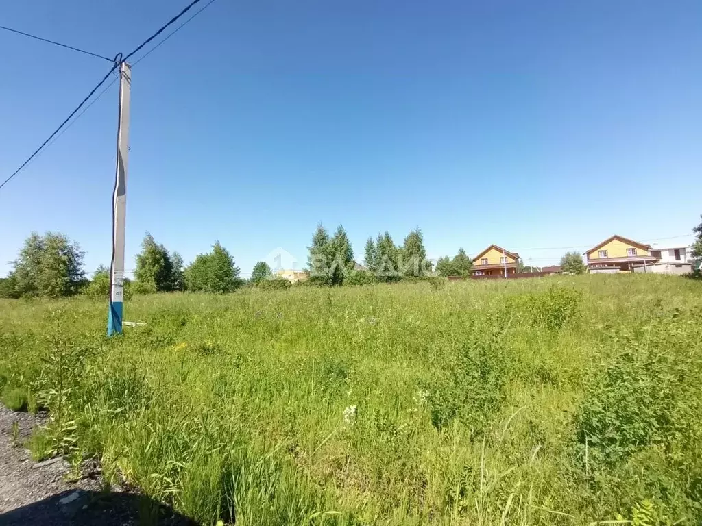 Участок в Московская область, Раменский муниципальный округ, с. Кривцы ... - Фото 1