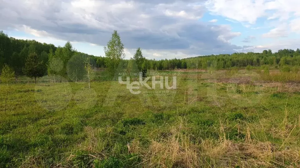 Сысоевка Богородский Район Купить Дом