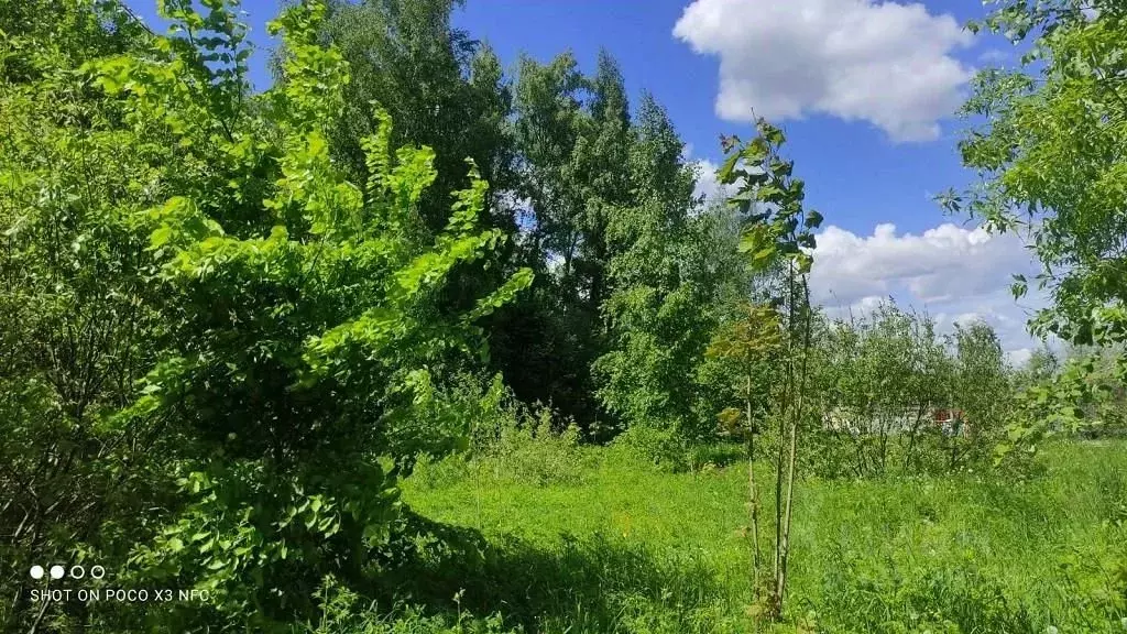Участок в Московская область, Одинцовский городской округ, д. ... - Фото 2