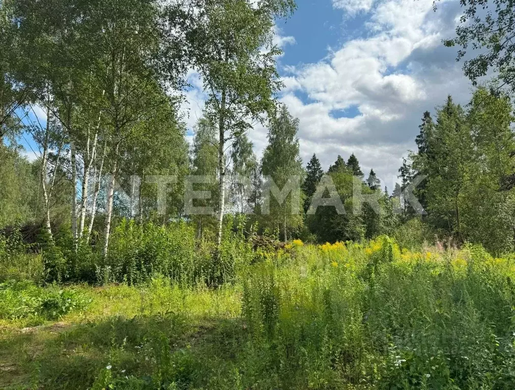 Участок в Московская область, Красногорск городской округ, д. ... - Фото 1