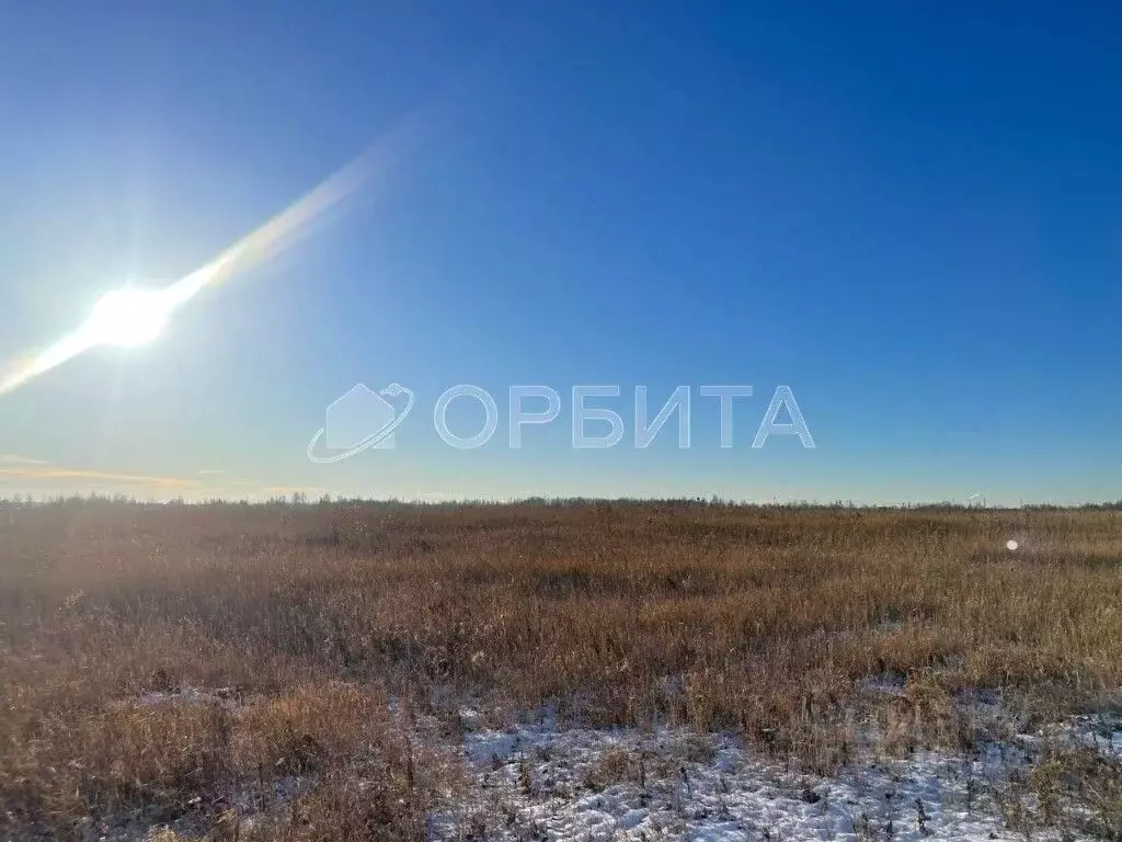 Участок в Тюменская область, Тюмень Яровское садовое товарищество, ул. ... - Фото 0