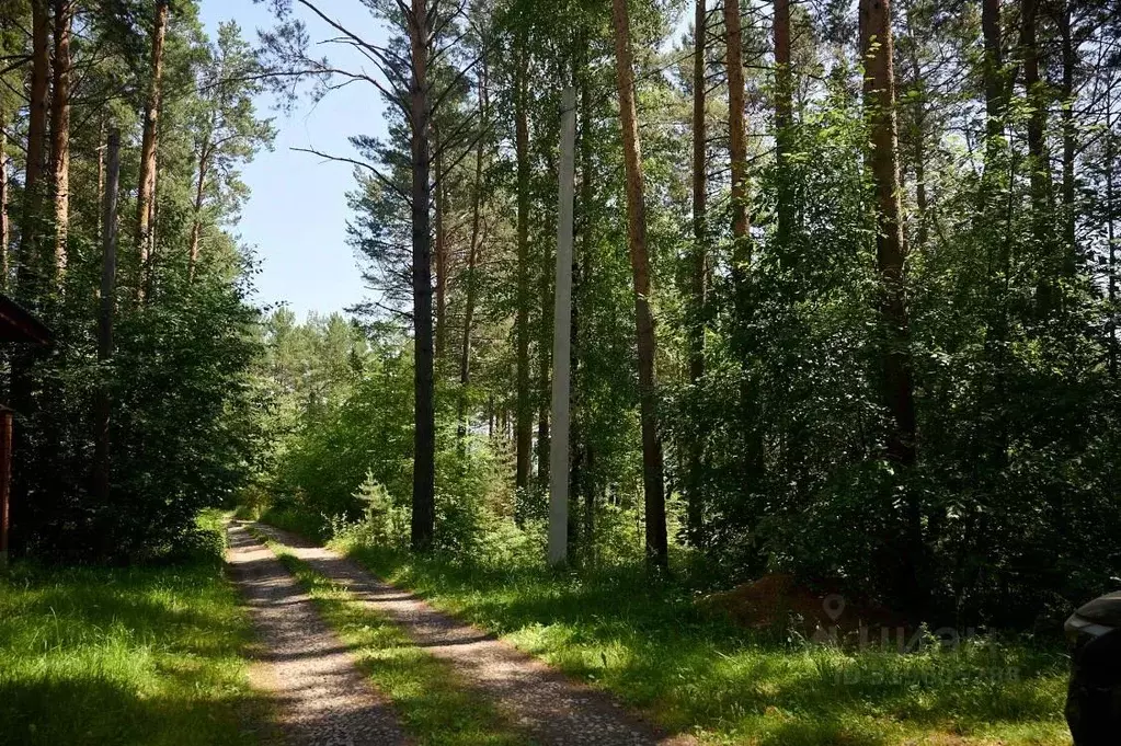 Участок в Иркутская область, Иркутский муниципальный округ, пос. ... - Фото 1