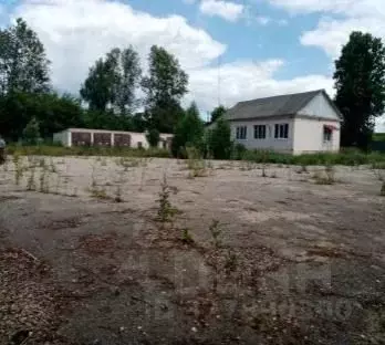 Склад в Рязанская область, Сасово Шацкая ул., 104 (582 м) - Фото 1