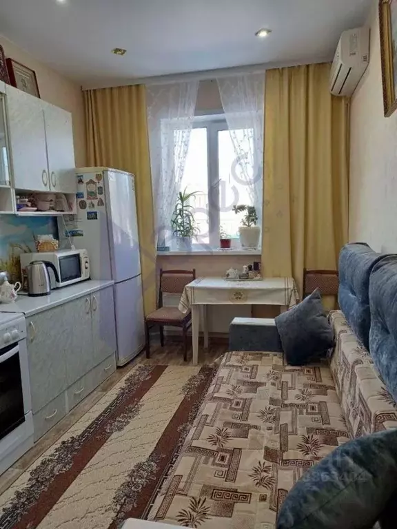 1-к кв. Нижегородская область, Богородский муниципальный округ, с. ... - Фото 1