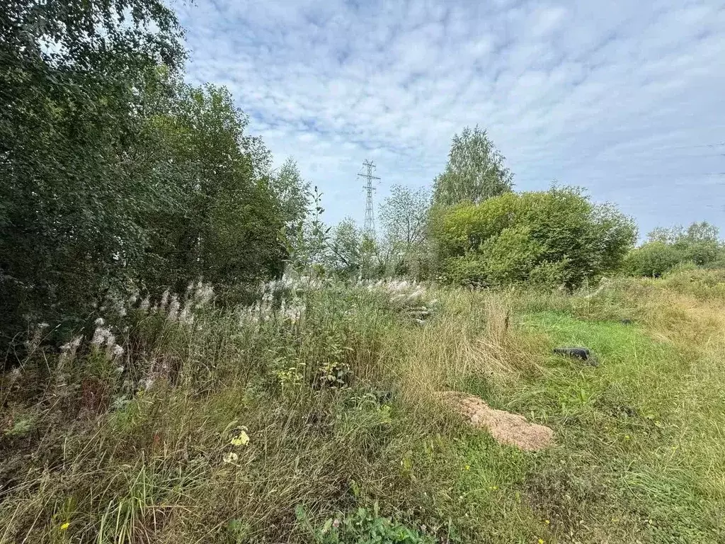 Участок в Вологодская область, Великий Устюг  (19.5 сот.) - Фото 1