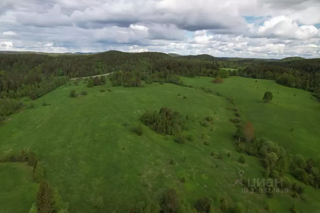 Участок в Карелия, Питкярантский муниципальный округ, пос. Ляскеля, ... - Фото 2