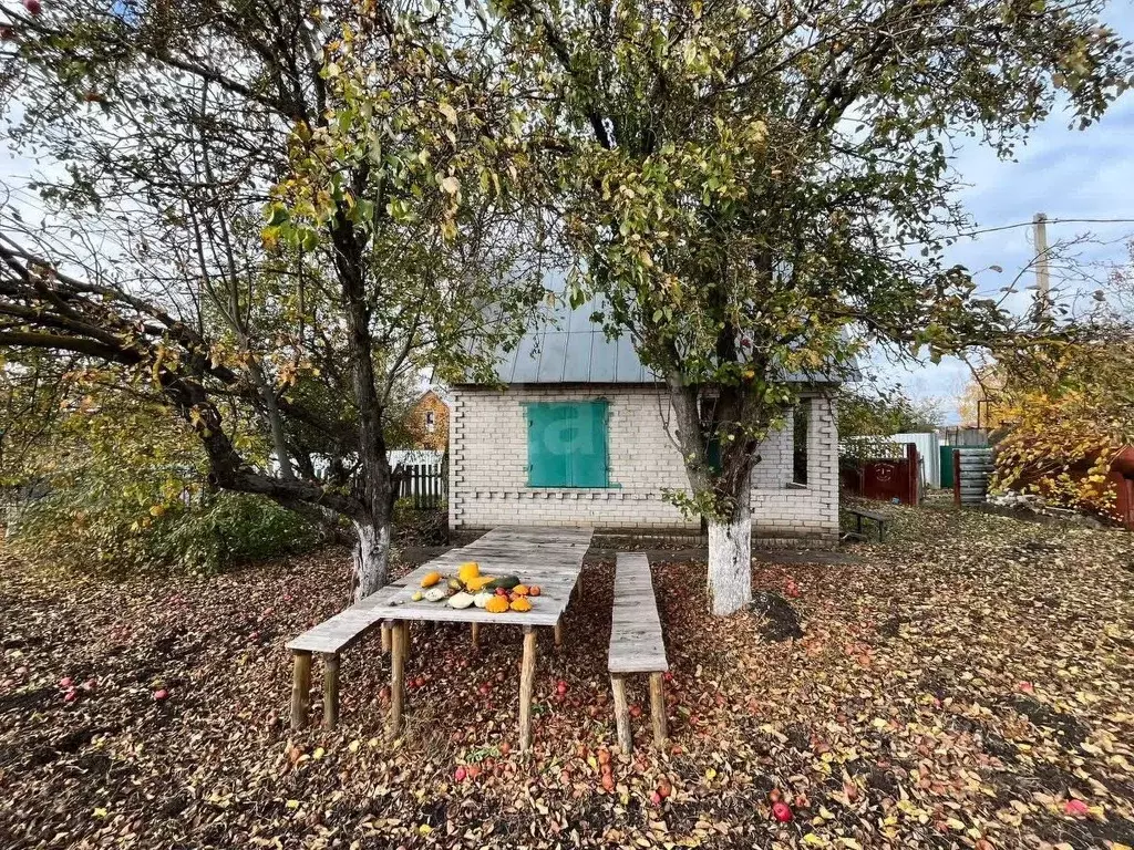 Дом в Липецкая область, Липецк Ударник СТ, 1-й массив, 225 (30 м) - Фото 1