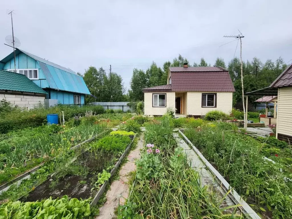 Дом в Ханты-Мансийский АО, Сургут № 47 Лайнер садовое товарищество, ... - Фото 1
