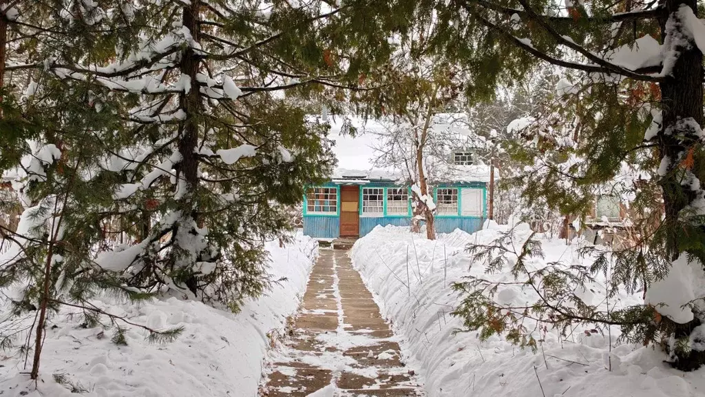 Участок в Московская область, Раменский муниципальный округ, Ильинский ... - Фото 1