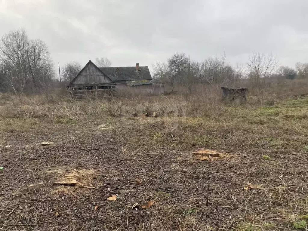 Участок в Брянская область, Навлинский район, Бяковское с/пос, д. ... - Фото 1