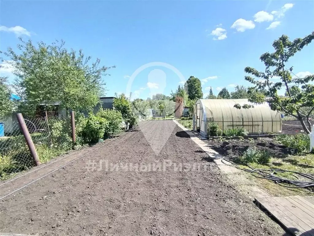 Дом в Рязанская область, Скопин ул. Карла Маркса, 13 (21 м) - Фото 2