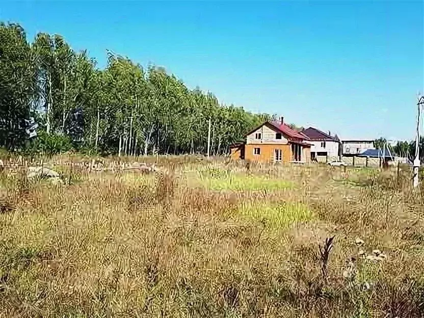 участок в татарстан, высокогорский район, с. семиозерка, паевые земли . - Фото 0