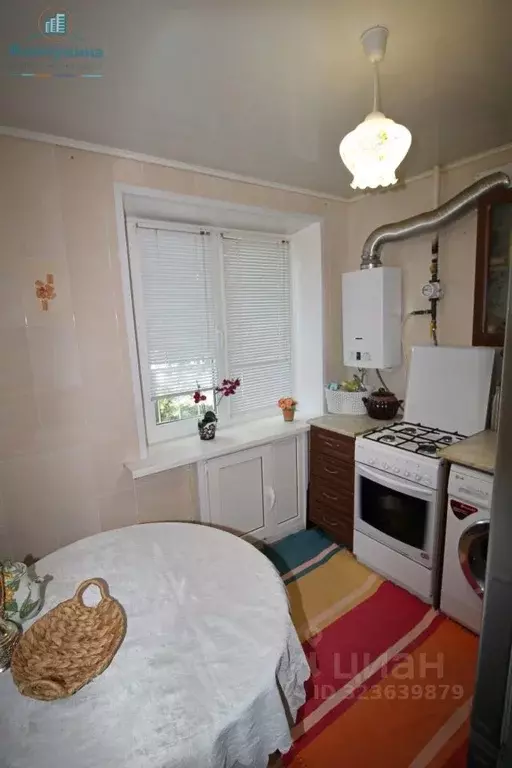 3-к кв. Ульяновская область, Димитровград ул. Куйбышева, 311 (54.0 м) - Фото 2