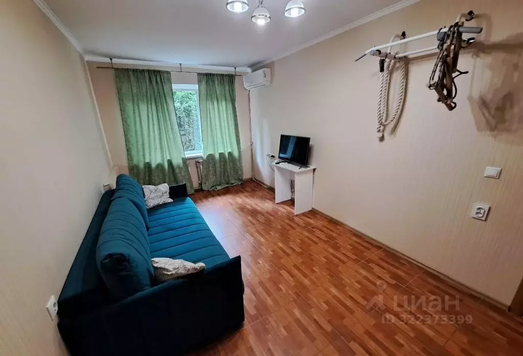 1-к кв. Краснодарский край, Сочи Гагарина мкр, ул. Красноармейская, ... - Фото 2