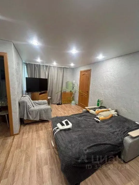 2-к кв. Бурятия, Улан-Удэ ул. Клыпина, 24П (40.8 м) - Фото 2