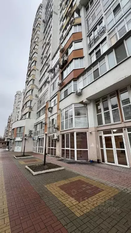 Торговая площадь в Белгородская область, Белгород ул. Победы, 165 (147 ... - Фото 2