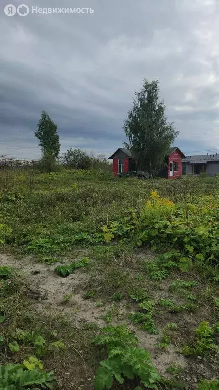 Дом в Фёдоровское, Елизаветинская улица (28 м) - Фото 1