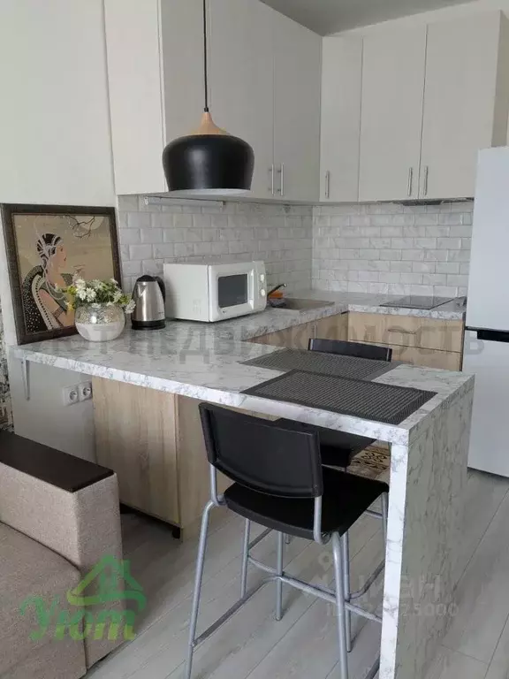 Студия Московская область, Красногорск городской округ, д. Глухово ул. ... - Фото 2