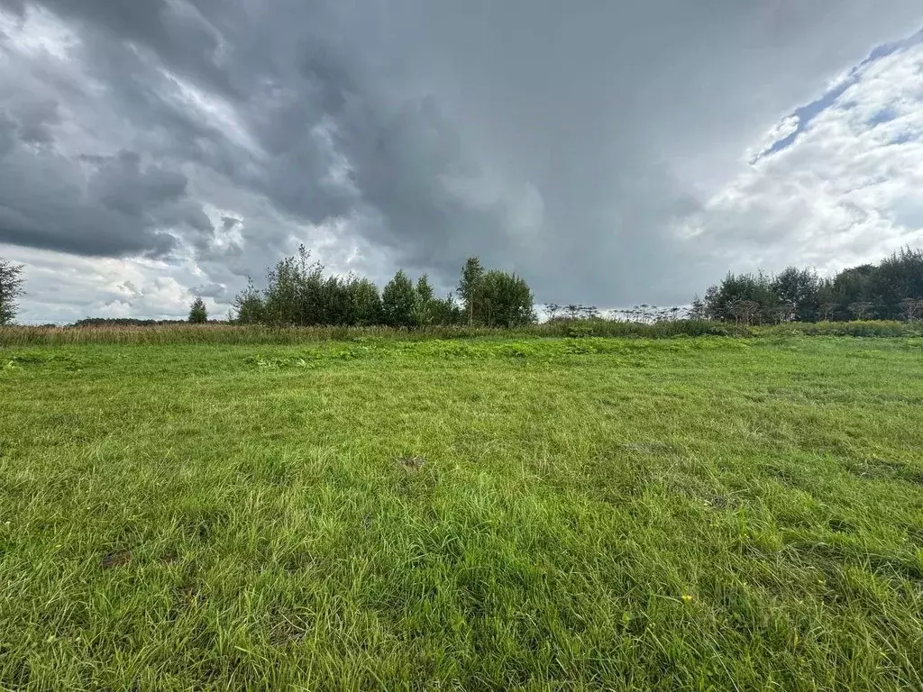 Участок в Московская область, Волоколамский муниципальный округ, с. ... - Фото 1