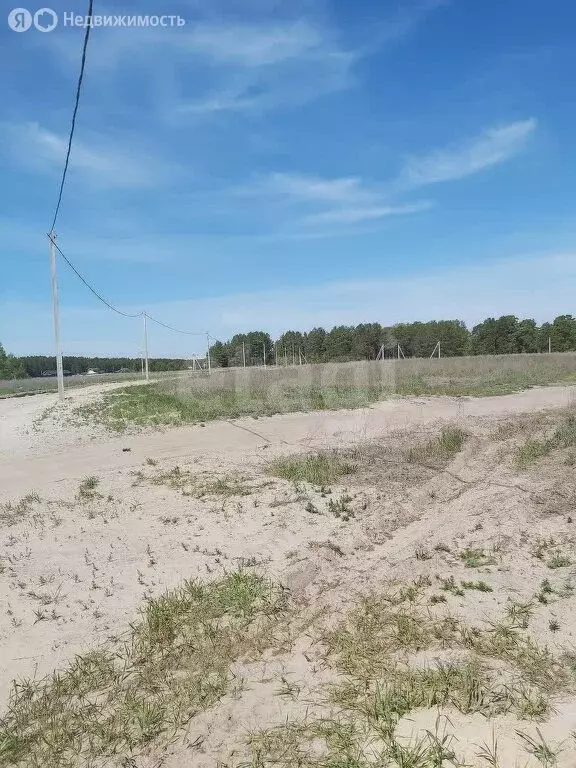 Участок в Тюменский район, деревня Криводанова (5.63 м) - Фото 0