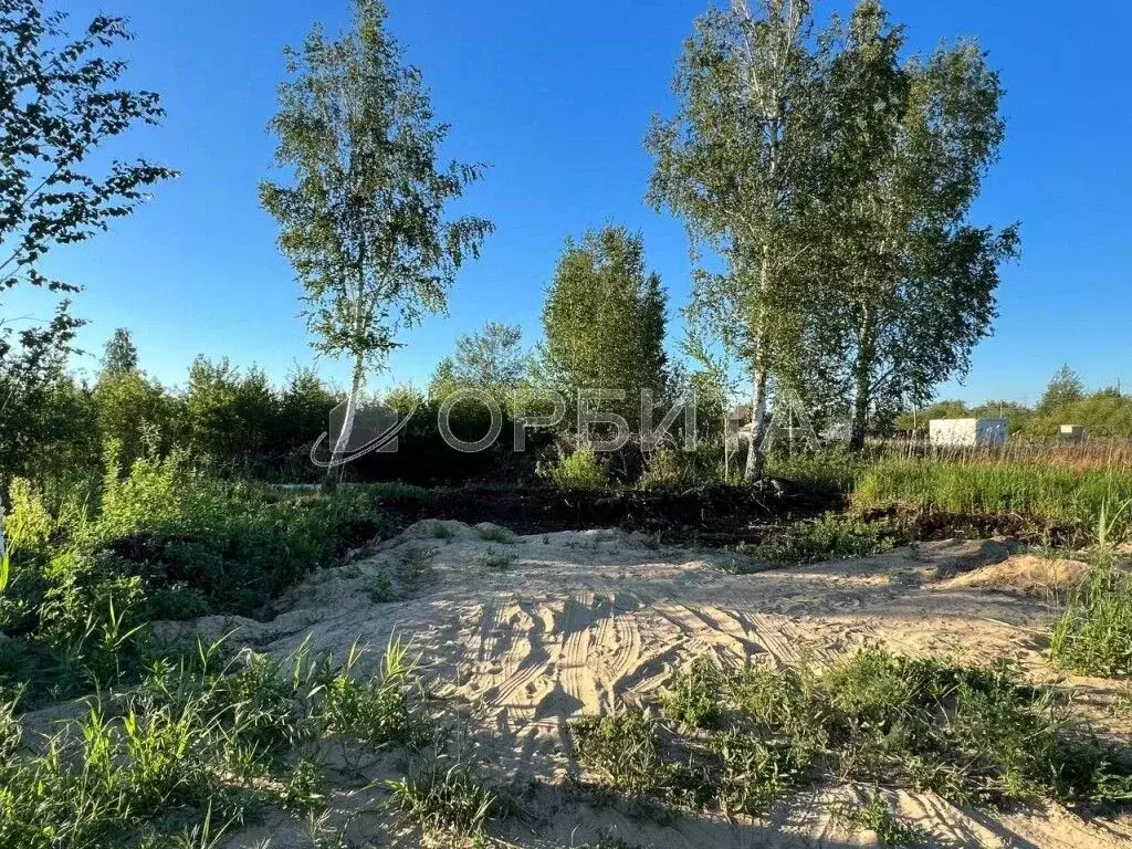 Участок в Тюменская область, Нижнетавдинский район, Строитель ТСН 786 ... - Фото 0