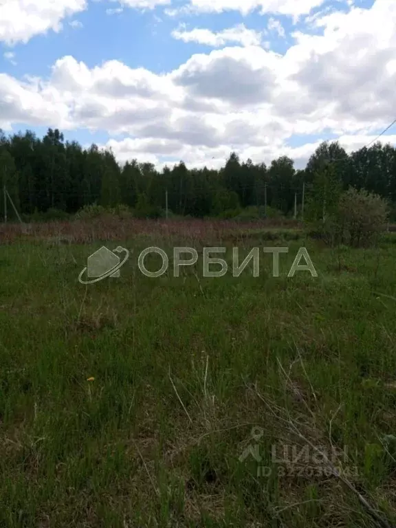 Участок в Тюменская область, Нижнетавдинский муниципальный округ, ... - Фото 1