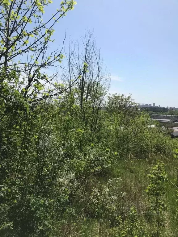 Участок в Ставропольский край, Ставрополь Кавказ садовое товарищество, ... - Фото 2