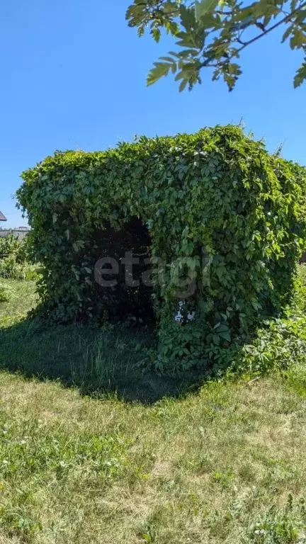 Участок в Татарстан, Лаишевский район, Кирбинское с/пос, д. Травкино ... - Фото 1
