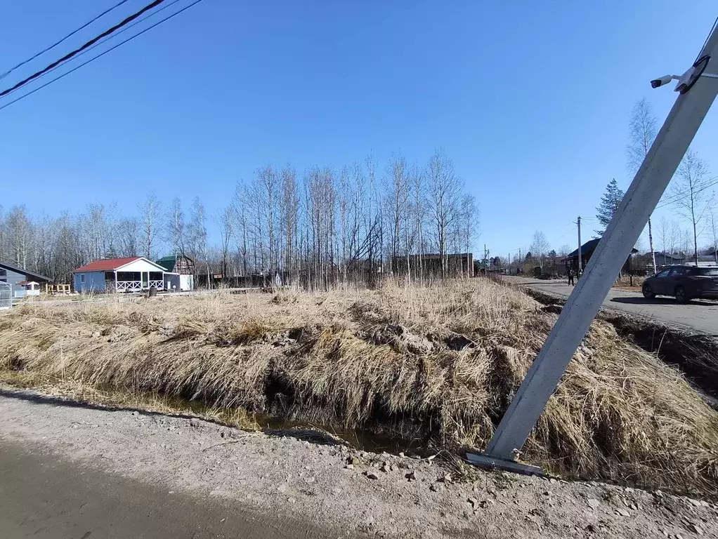 Участок в Ленинградская область, Всеволожский район, Рахьинское ... - Фото 2