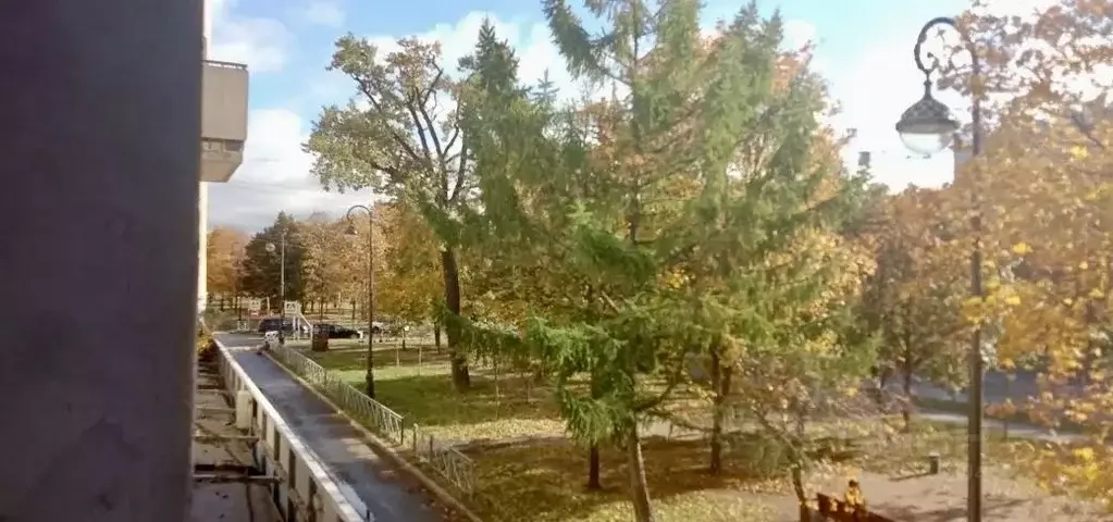 1-к кв. Санкт-Петербург просп. Большой Васильевского острова, 41 (35.0 ... - Фото 2