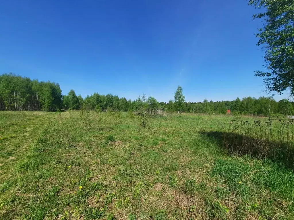 Участок в Московская область, Солнечногорск городской округ, д. ... - Фото 0