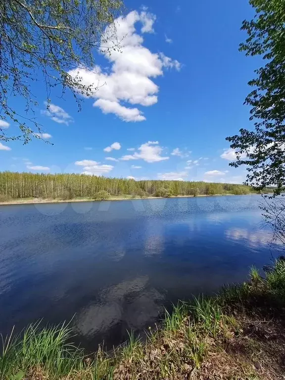 Участок 10,9 сот. (ИЖС) - Фото 0
