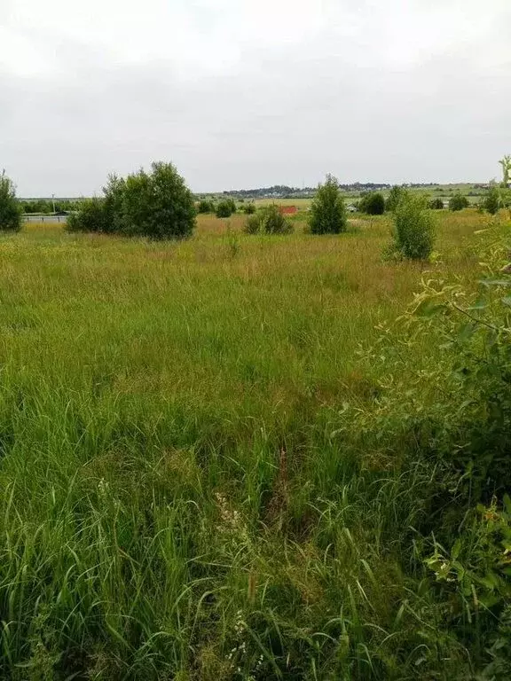 Участок в Аннинское городское поселение, коттеджный посёлок Аннинские ... - Фото 2