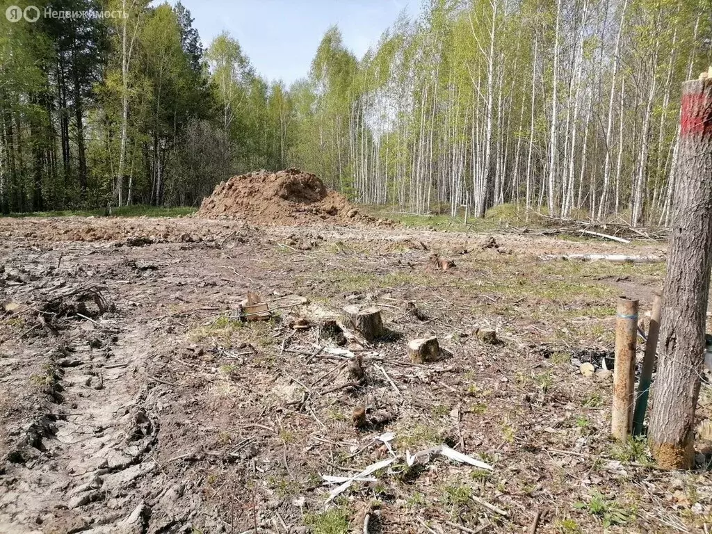 Участок в Тобольск, микрорайон Ершовка (8 м) - Фото 0