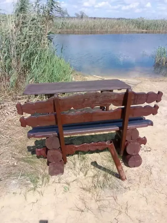 Участок в Ростовская область, Родионово-Несветайский район, ... - Фото 2