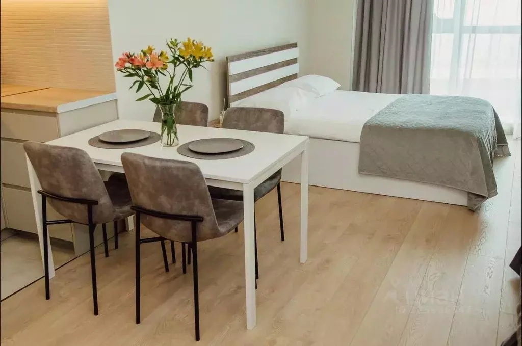 Студия Краснодарский край, Сочи Центральный мкр, ул. Навагинская, 9А ... - Фото 2