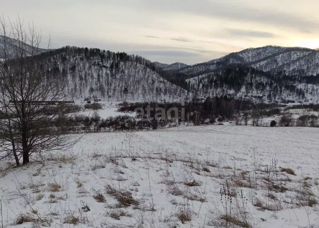 Участок в Алтай, Шебалинский район, с. Камлак  (100.0 сот.) - Фото 1