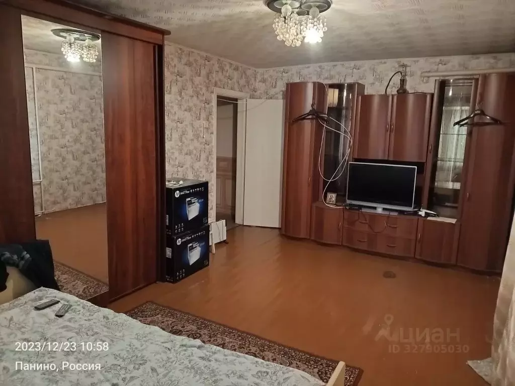 1-к кв. Московская область, Раменский муниципальный округ, д. Панино ... - Фото 1