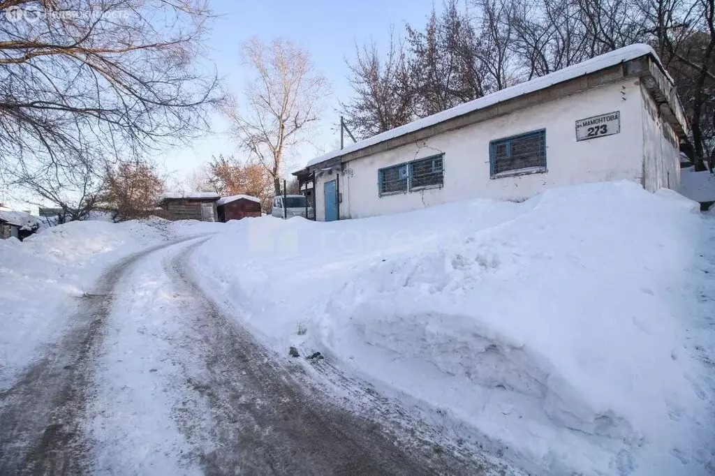 Помещение свободного назначения (62.9 м) - Фото 1