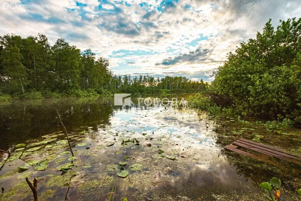 Участок в Томский район, деревня Борики (645.01 м) - Фото 2