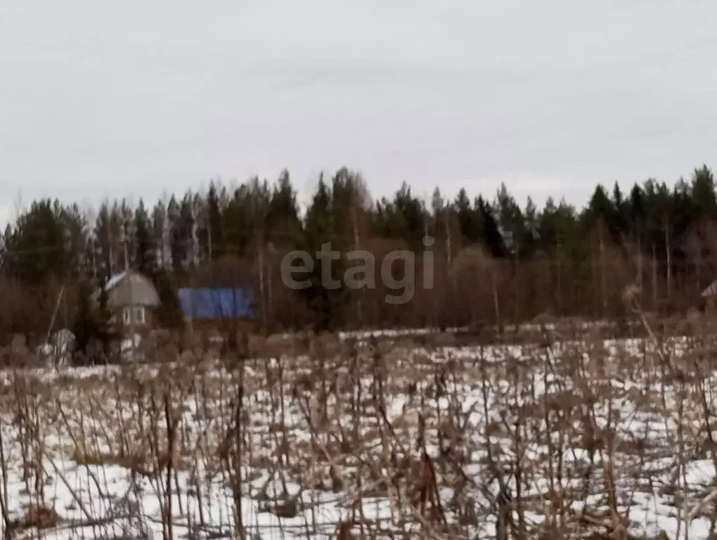 Участок в Коми, Корткеросский район, Корткерос муниципальное ... - Фото 1