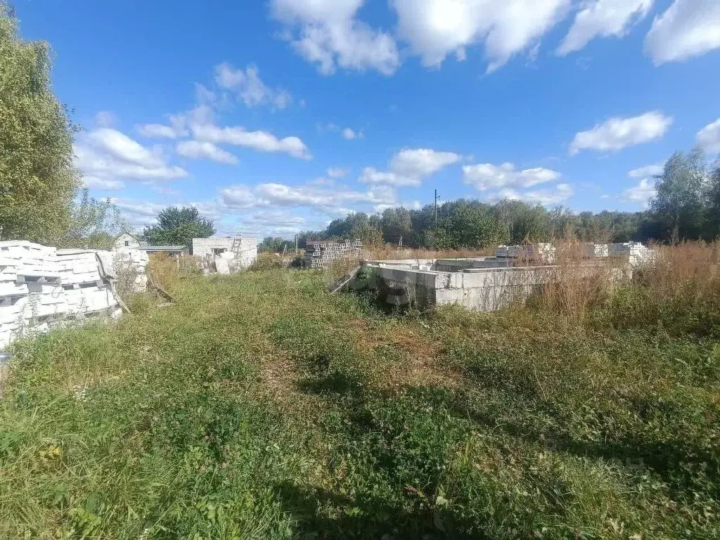 Дом в Брянская область, Брянский район, Снежское с/пос, с. Толмачево ... - Фото 1
