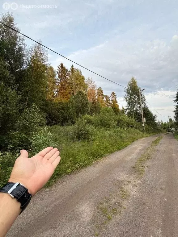 Участок в Ленинградская область, Приозерское городское поселение, СНТ ... - Фото 1