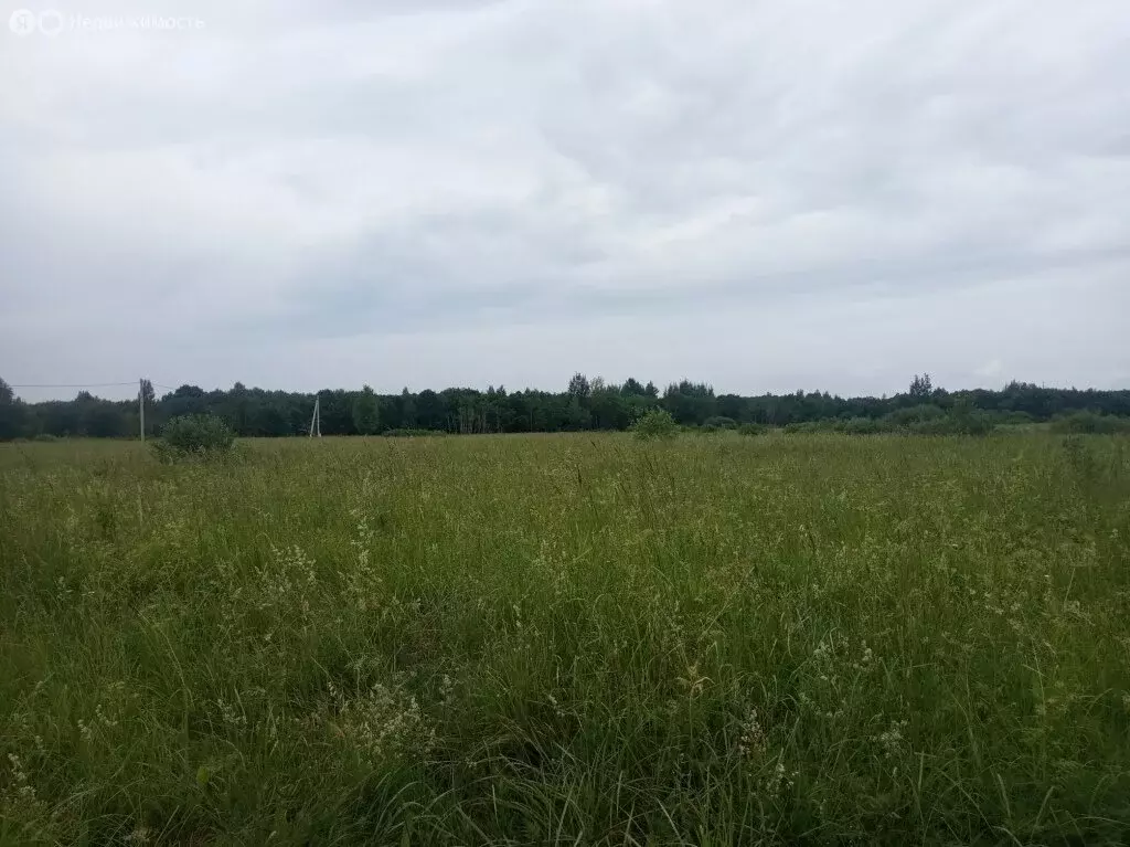 Участок в Псковский район, Логозовская волость (12 м) - Фото 1