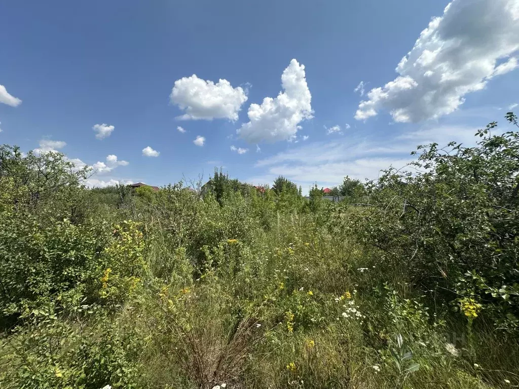 Участок в Саратовская область, Энгельсский район, Терновское ... - Фото 2