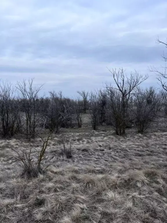 Участок в Калмыкия, Элиста ул. Давида Кугультинова, 95 (6.0 сот.) - Фото 1